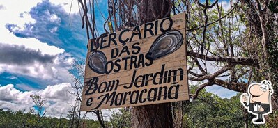 Berçario das ostras foto