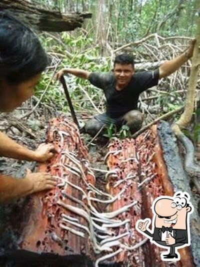 Addict Amazonia Belém PA foto