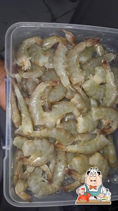 Experimente os sabores do mar no Toca do Peixe Brasília DF