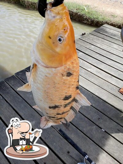 Escolha refeições de peixe no Pesqueiro do Tonhão