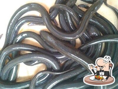 Isca Viva Peixe Guaíra SP oferece um menu para amantes de frutos do mar