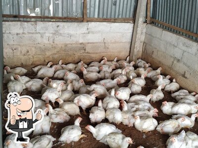 Deepam Chicken photo
