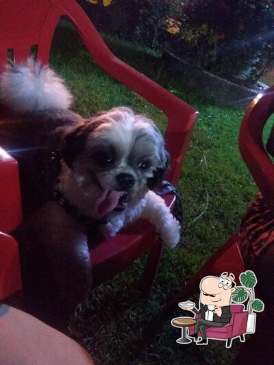 Sente em uma das mesas no Chesmar Pizzaria