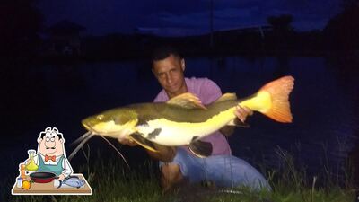 Pesque Pague Quintal do Vidal fornece um menu para amantes de pratos de peixe