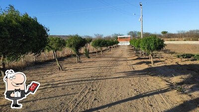 Desfrute da vista da área externa do CHÁCARA NS APARECIDA