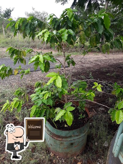 Barraca dos mineirim foto