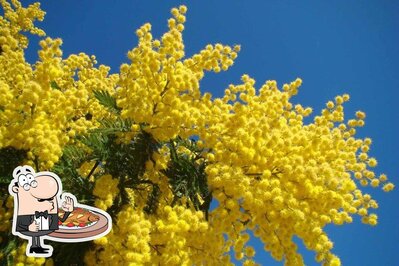 Pizzeria Rendola propone un'ampia scelta di pasti a base di pesce
