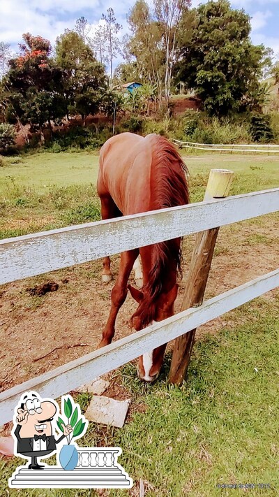 Você pode espairecer no exterior Churrascaria do Amigão