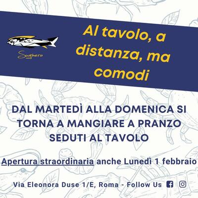 Lisez les informations sur Sughero