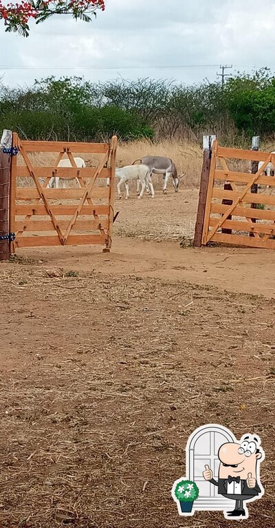 Você pode espairecer no na área externa do Povoado Castelo - Tauá