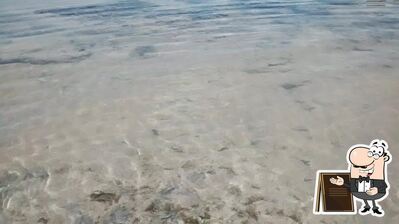 Você pode espairecer no exterior Pizzaria Safari Jacumã