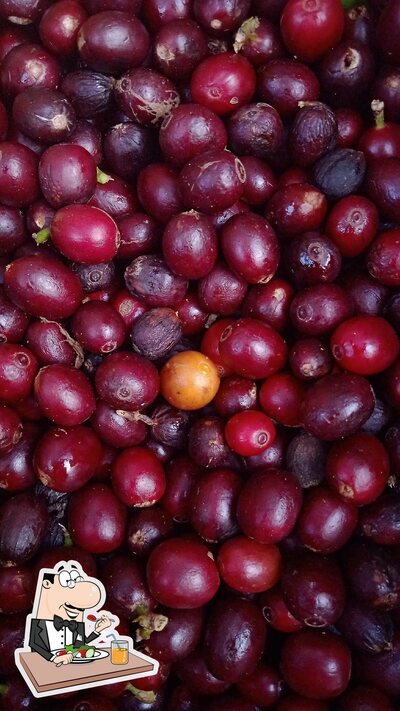 Comida em Sítio Imperial da Serra - Cafés Especiais