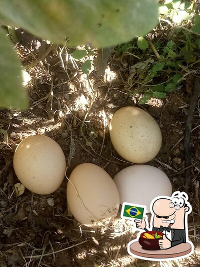 Comida em Bar da Moita
