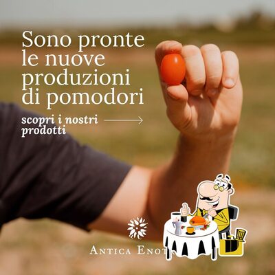Platti al Nuova Enotria