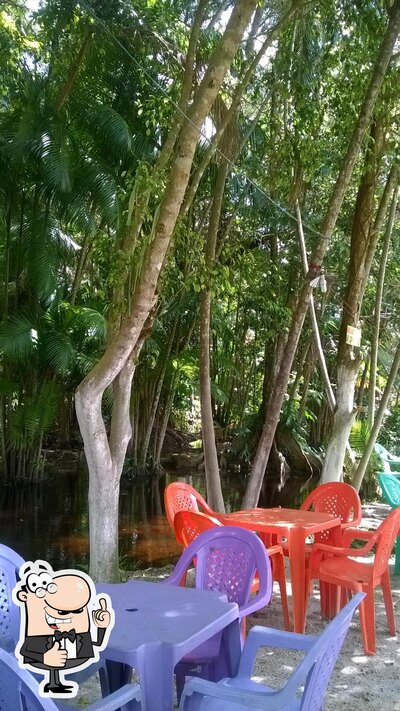 Natureza viva foto
