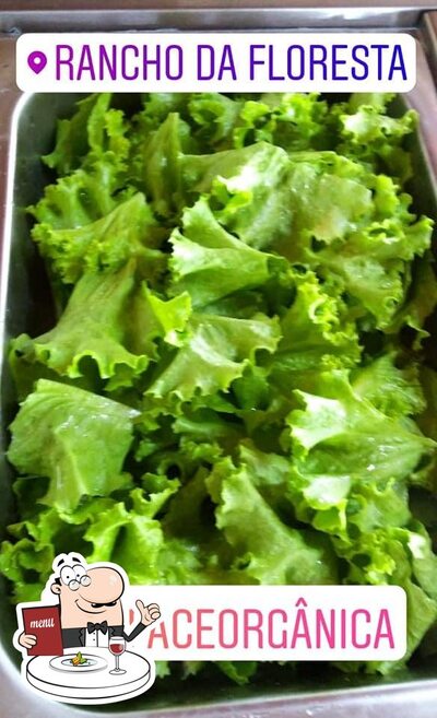 Comida em Restaurante Rancho Da Floresta