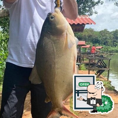 Veja imagens do exterior do Pesque Pague Capivara