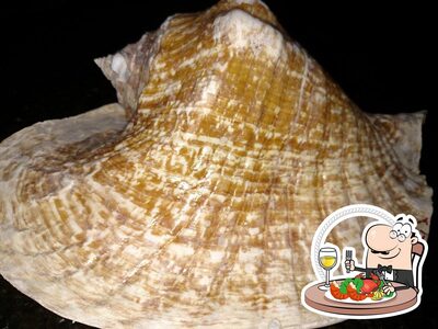 Experimente diversos refeições de frutos do mar oferecidos no ziggy e pizzaria restaurante