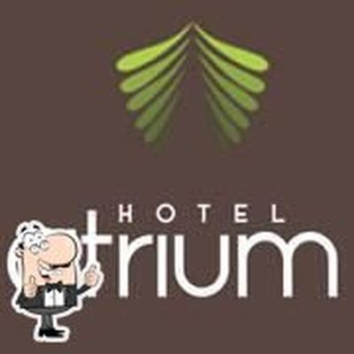 Hotel Atrium Erode photo