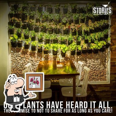 Check out how Stories looks inside
