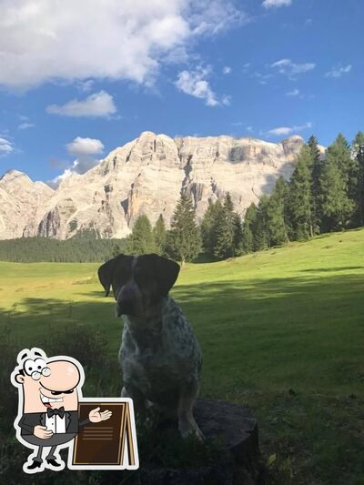Guarda gli esterni di Űtia Ranch da André