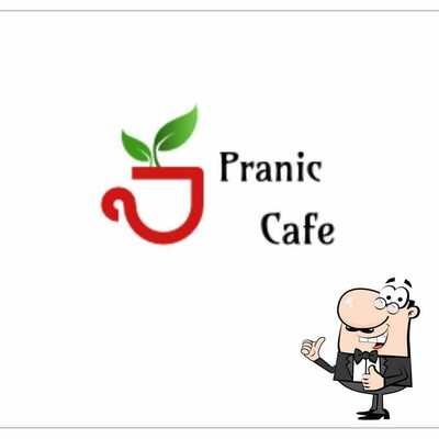 The visual representation of Pranic Cafe’s brand
