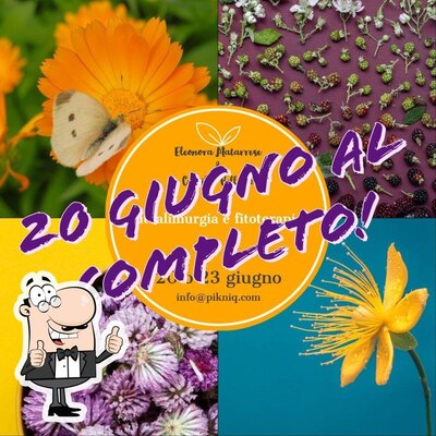 Pikniq Stresa foto