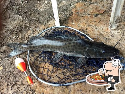 Escolha refeições de peixe no Pesqueiro agamenon p