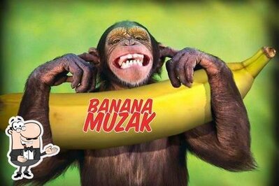 photo de Banana Muzak