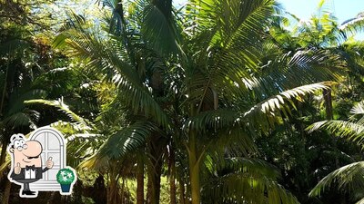 Você pode espairecer no na área externa do Sítio Estância Rio Bonito