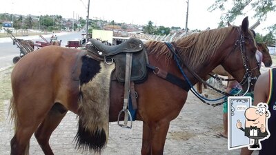 Bar Da Cida foto
