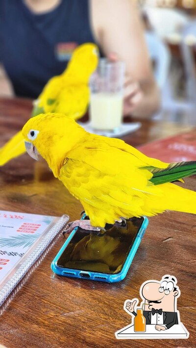 Desfrute de uma bebida no Fazendinha preciosa