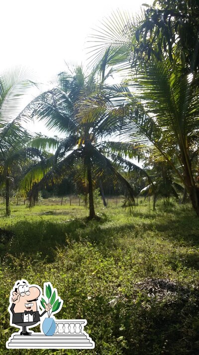 Descubra a área externa do Recanto Do Amor