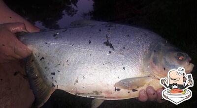 Peça refeições de peixe no Pesqueiro Guaicurus