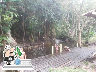 Descubra a parte externa do Natureza viva