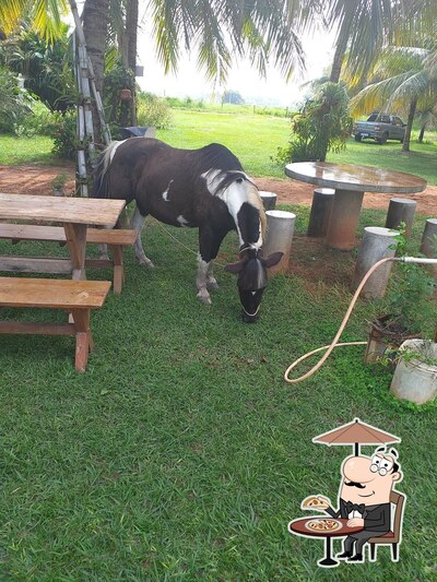 Veja imagens do exterior do Pesqueiro Pouso da Águia