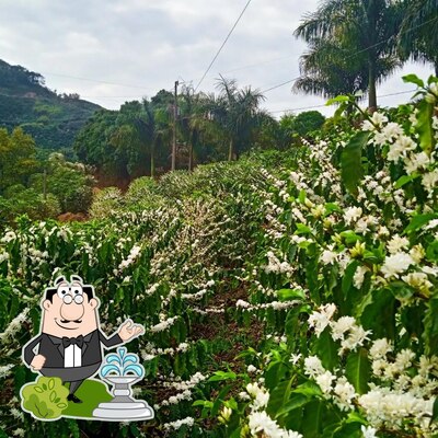 Desfrute da vista da área externa do Sítio Imperial da Serra - Cafés Especiais