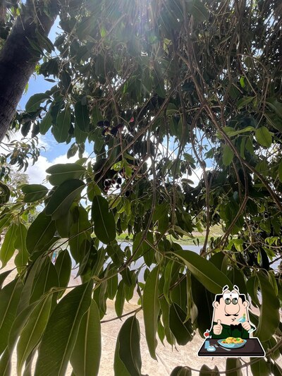 Comida em Lagoa dos Patos