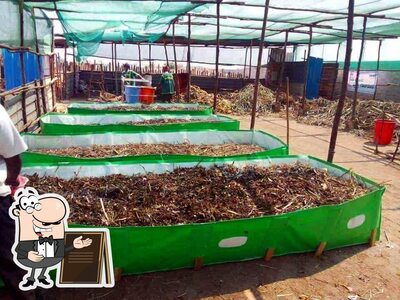 The outside part is an important feature of bhanu egro