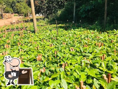 Veja imagens do exterior do Viveiro Arapoca