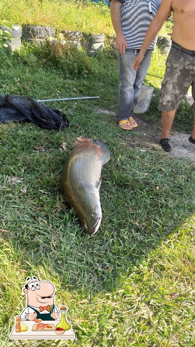Saboreie os sabores do mar no Pesque e Pague Roda D'água