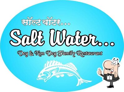The graphical representation of SALT WATER’s brand