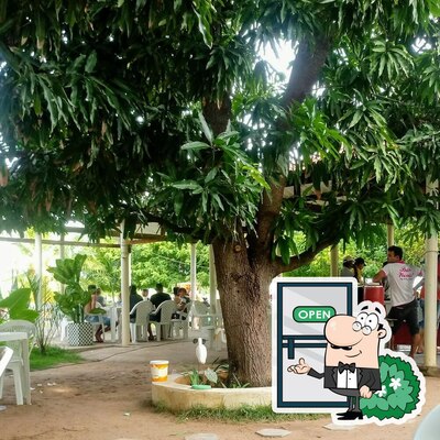 Veja imagens do exterior do Bar Novo