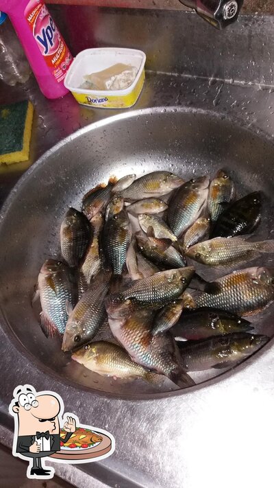 Escolha pratos de peixe no Lagoa da Tapera, SC Bar Tio Juca