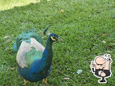 Pantanal Mineiro foto