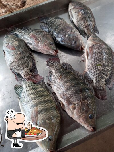 Pesqueiro e Acampamento Baldin serve uma gama de refeições de peixe