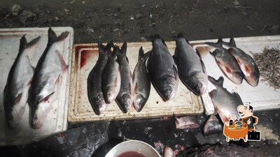 J K Fresh Fish photo