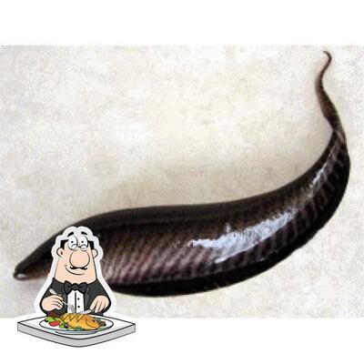 Há uma gama de refeições de peixe