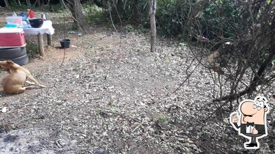 Chacara Recanto do jeguin foto