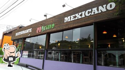 El grillo foto
